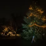 Tuinpadpark_Kerststal_21122024_foto_Josanne_van_der_Heijden-5004