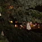 Tuinpadpark_Kerststal_21122024_foto_Josanne_van_der_Heijden-5151