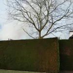 BRAND DELTASINGEL (2)