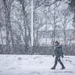 Stockfoto_sneeuw_09012025_foto_Josanne_van_der_Heijden-9065