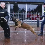 Politie-oefening Deurne