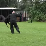 resizecom_Schermafbeelding 2025-02-24 162950 (1)