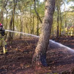 NATUURBAND BAKEL (1)