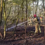 NATUURBAND BAKEL (4)
