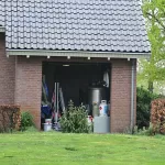 VID_5204