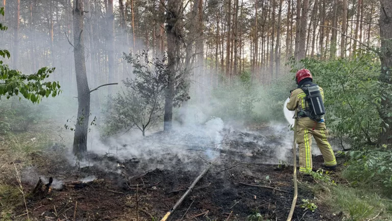 Mountainbikers ontdekken beginnende bosbrand in Bakel; brandweer weet erger te voorkomen