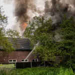 BRAND HELENAVEEN (18)