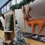 PARTYHOME 15 JAAR (8)