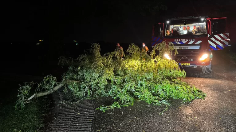 Grote tak van boom breekt door noodweer af in Bakel