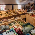 Boerderijwinkel_Peters_5jr_05072025_foto_Josanne_van_der_Heijden-8833
