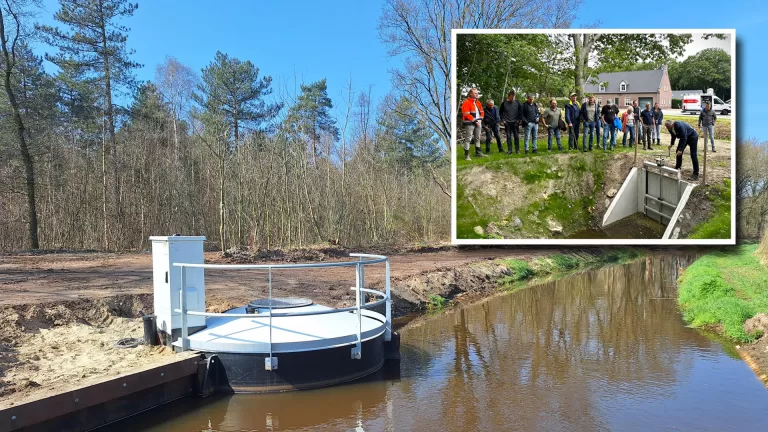 Natuurvriendelijke oever bij De Vlier zorgt voor meer biodiversiteit en betere waterkwaliteit