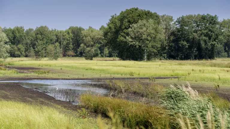 Provincie wil versnelling van Aanpak Landelijk Gebied; ‘Enkele projecten nog dit jaar van start’
