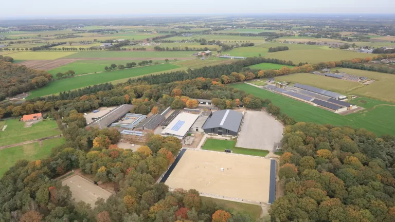 Green Valley Estate viert haar 4-jarig bestaan: ‘In ons ‘paardendorp’ komt alles samen’