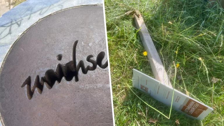 Wijkbewoners verbaasd over staat van opgeknapte natuurkunstwerk Peelrandbreuk: ‘Vernield en verwilderd’