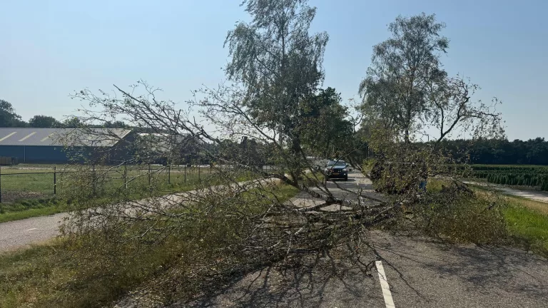 Boom waait om en blokkeert verkeer op Heikantseweg in Bakel