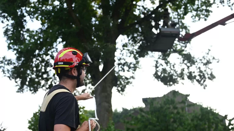 Brandweer verwijdert gevaarlijk hangende tak in Donge in Deurne