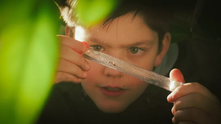 Global Goals en Nacht van het Witte Doek slaan handen ineen bij filmvertoning ‘Antkeeper’