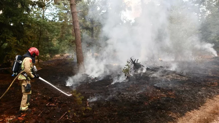 Moeilijk bereikbare bosbrand tussen Deurne en Liessel geblust; circa 400 vierkante meter natuur verwoest