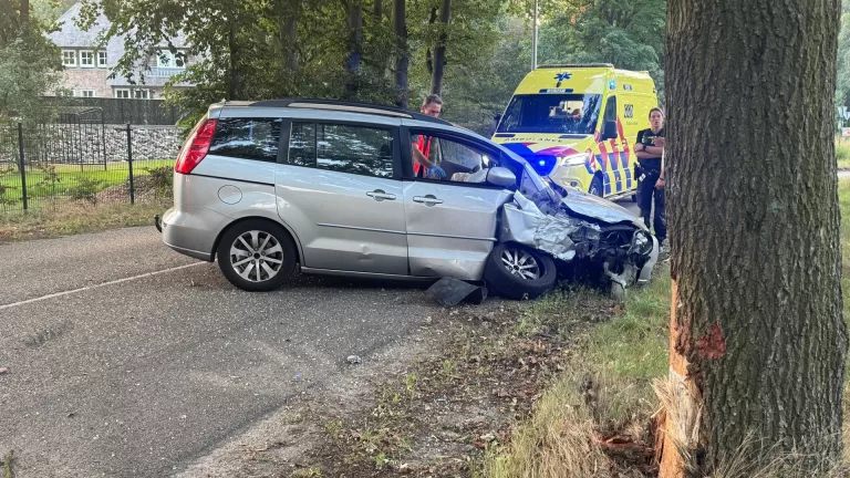 Auto botst tegen boom op Aarle-Rixtelseweg in Bakel