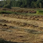 OOIEVAARS (3)