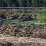 OOIEVAARS (5)