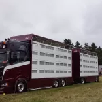 TRUCKSHOW LIESSEL (11)