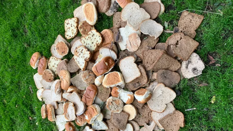 Hele zakken brood gedumpt bij Parkboerderij; ‘Dit is niet de bedoeling en ongezond voor de dieren’