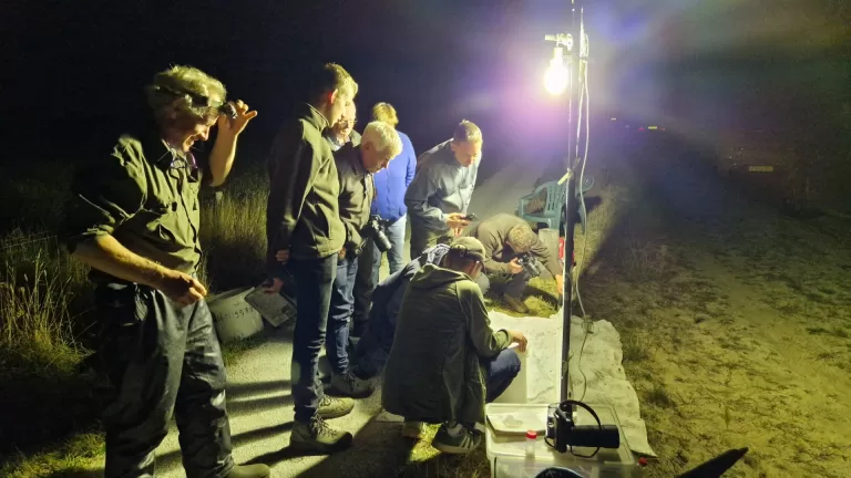 Natuuronderzoek laat bij Ecotop in Deurne zien dat grondwaterstand rondom de Peel kritiek punt blijft