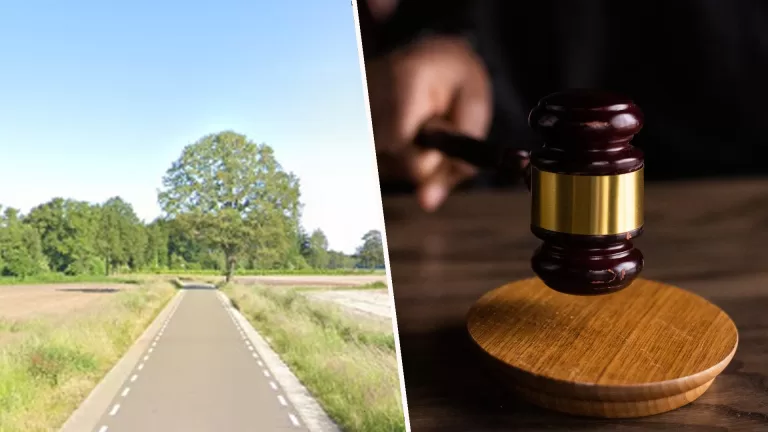 Automobiliste die fietser aanreed op Esdonk in Vlierden krijgt 1.000 euro boete vanwege gevaarlijk rijgedrag