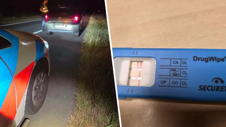 Druk nachtje voor politie; van geluidsoverlast tot wespenaanval en van dronken bestuurder tot vechtpartij