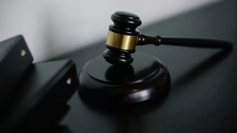 Deurnese familie Bouwmans weer stapje dichterbij hun droom; Raad van State fluit gemeente terug