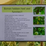 SPEELSLANDSCHAP (11)