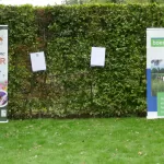 SPEELSLANDSCHAP (12)