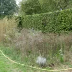 SPEELSLANDSCHAP (14)