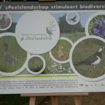 SPEELSLANDSCHAP (24)