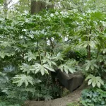 SPEELSLANDSCHAP (7)
