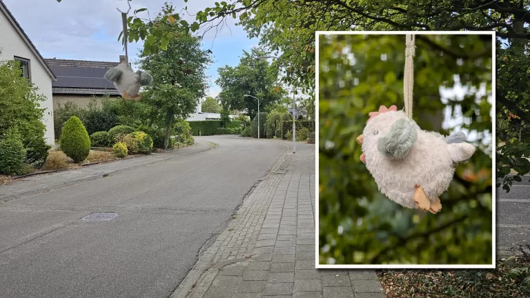 Bijzonder vogeltje houdt gemoederen bezig in Koolhof; ‘Zit al dagen lang stil op een tak’