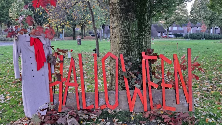 Heiakker steekt Halloweentocht in nieuw jasje: ‘Route bepaal je zelf en iedereen kan meedoen met versieren’ Heiakker steekt Halloweentocht in nieuw jasje: ‘Route bepaal je zelf en iedereen kan meedoen met versieren’