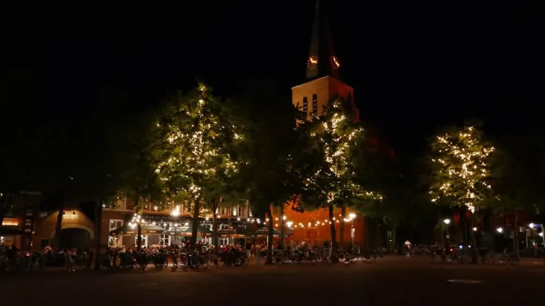 Gemeente start met proef om bomen op Deurnese Markt weer gezond te krijgen