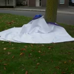 VERKIEZINGSBORD (3)
