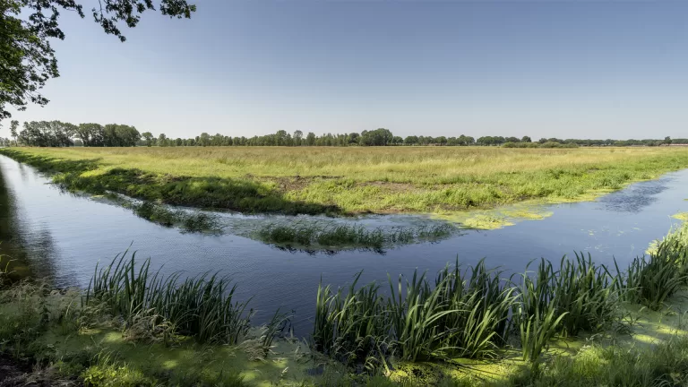 Verder natuurherstel rond Brabantse Natura 2000-gebieden volgens provincie ‘logische en noodzakelijke vervolgstap’