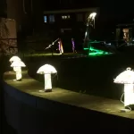 HALLOWEEN IN DE HEI (27)