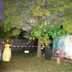 HALLOWEEN IN DE HEI (9)