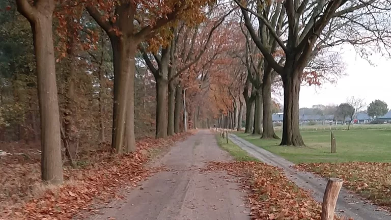 Onderhoudswerkzaamheden aan zand- en puinwegen in gemeente Deurne