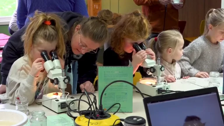 [VIDEO] Kinderen ontdekken natuur van heel dichtbij bij De Ossenbeemd in Deurne: ‘Ik zie allemaal beestjes’