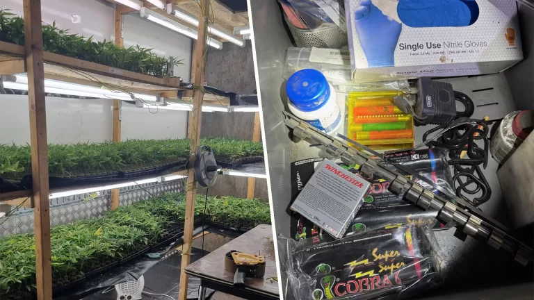 PIT-team neemt in Deurne hennep, gestolen voertuigen, illegaal vuurwerk, wapens en munitie in beslag