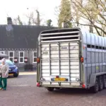 ALPACAS PARKBOERDERIJ (10)