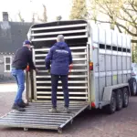 ALPACAS PARKBOERDERIJ (14)