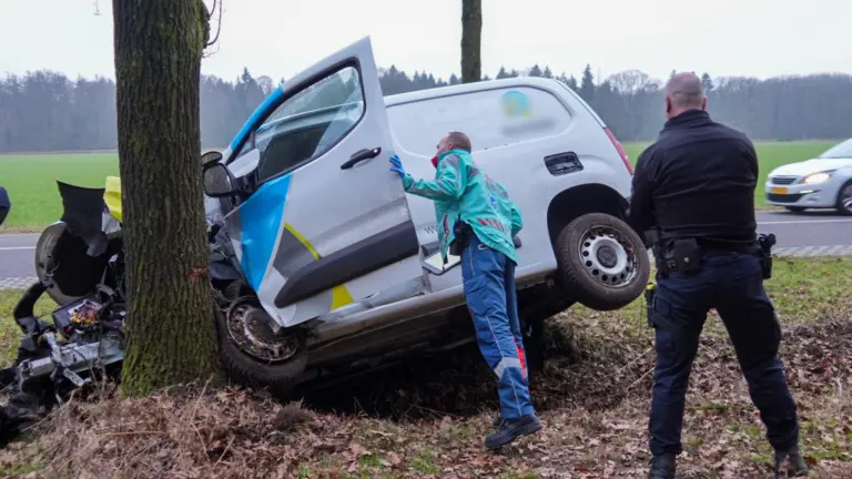 Automobilist raakt onwel in Elsendorp; bestelwagen belandt in sloot en botst tegen boom