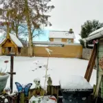SNEEUW DEURNE